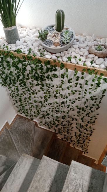 ¿Cómo van los arreglos de sus futuras casas? 1