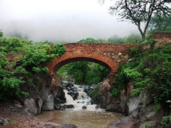 ¿En qué lugares de tu estado te gustaría hacerte una sesión de fotos? 😍📸 14