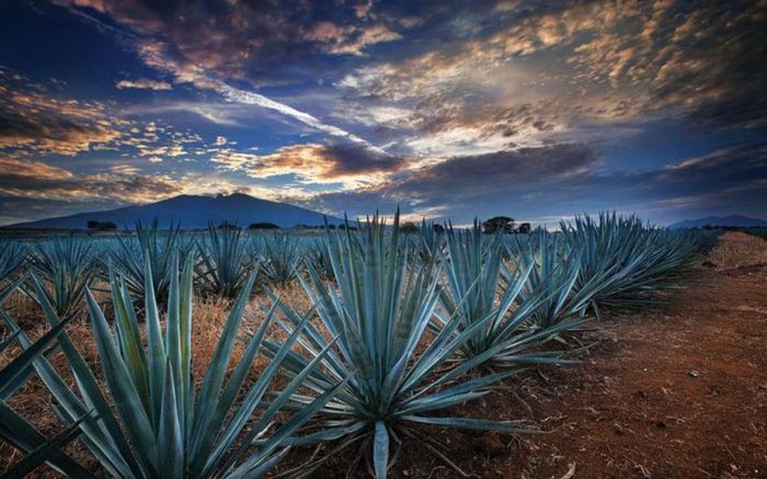 ¿En qué lugares de tu estado te gustaría hacerte una sesión de fotos? 😍📸 20