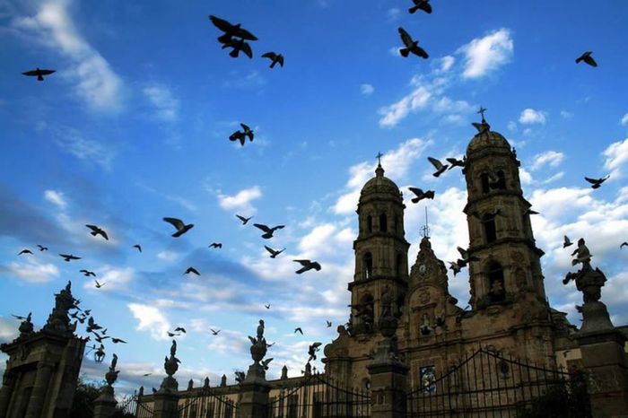 ¿En qué lugares de tu estado te gustaría hacerte una sesión de fotos? 😍📸 19