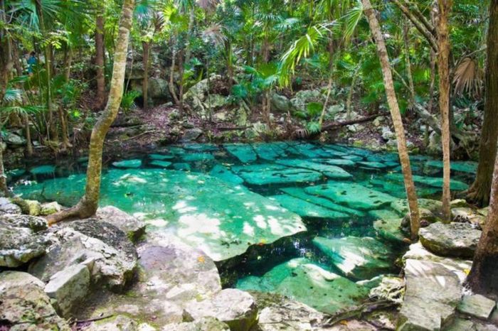 Ceremonias dentro de un cenote ¿Te animarías? 🦋 10