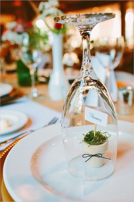 Personalizar los lugares de los invitados ¿si o No? 4