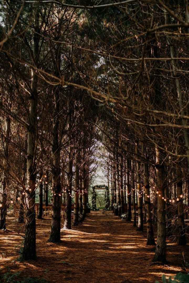 Bodas en OTOÑO 🍂🍁 ¿Te casarías en esta temporada? - 1