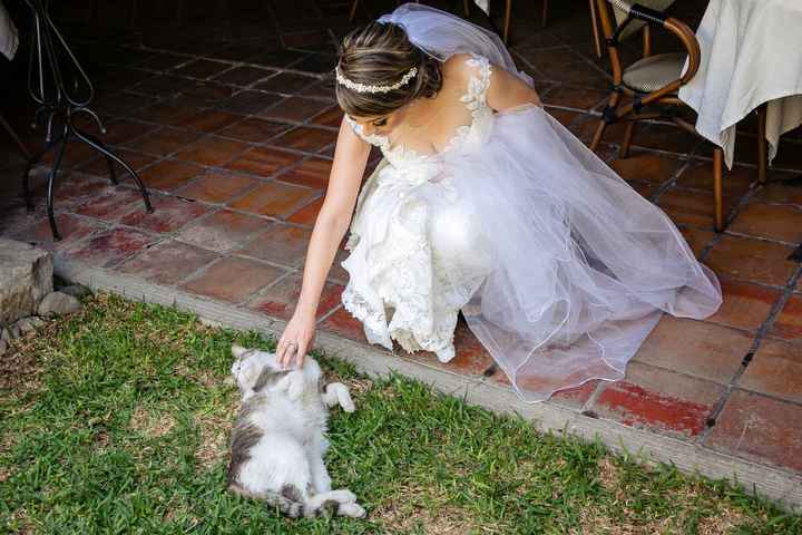 ¡Fotos con tus mascotas! ¿Te animarías? 🐶🐱 - 1