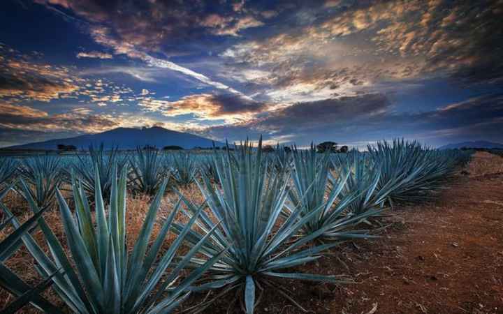 ¿En qué lugares de tu estado te gustaría hacerte una sesión de fotos? 😍📸 - 5