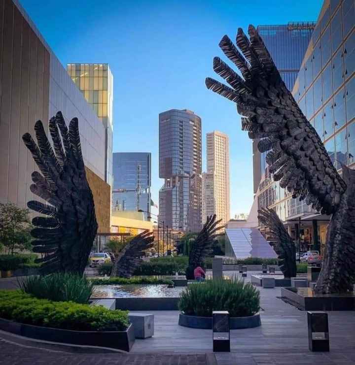 ¿En qué lugares de tu estado te gustaría hacerte una sesión de fotos? 😍📸 - 6