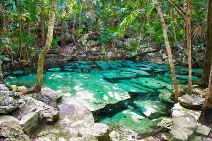 Ceremonias dentro de un cenote ¿Te animarías? 🦋 - 2