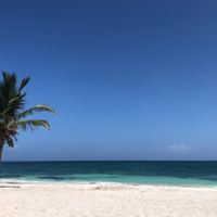 Manual para damas:  Escoge despedida de soltera - 1