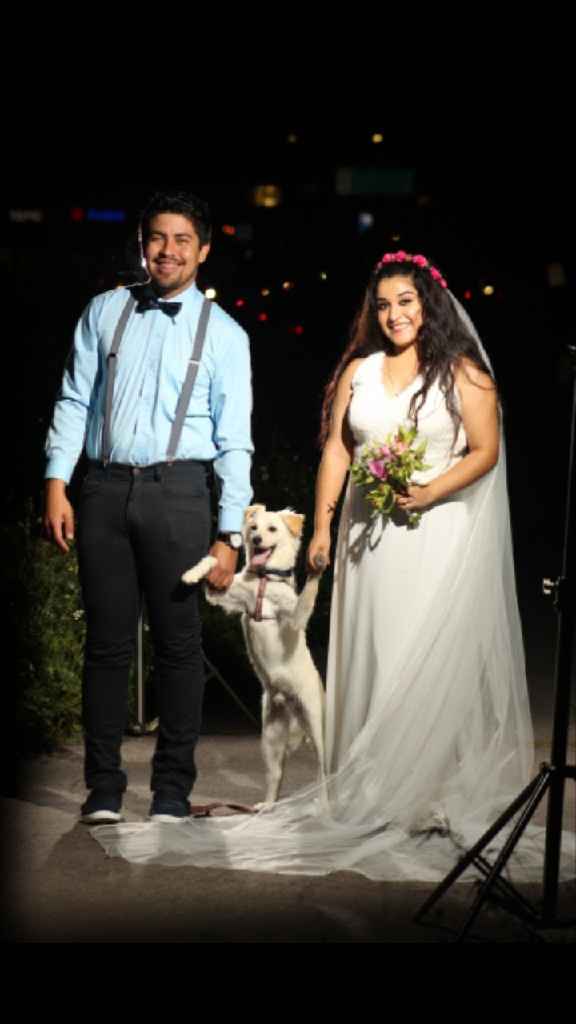 ¿Te vas a tomar fotos de novia con tu mascota? - 1