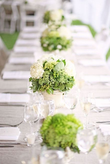 3.Novia Verde