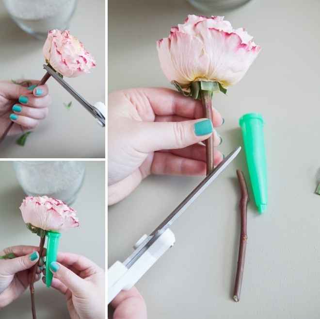 flores