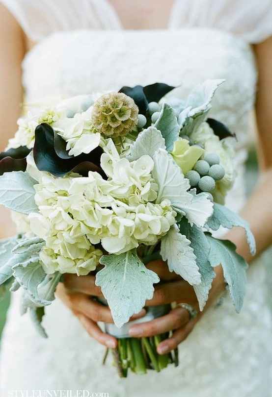 Novia Menta