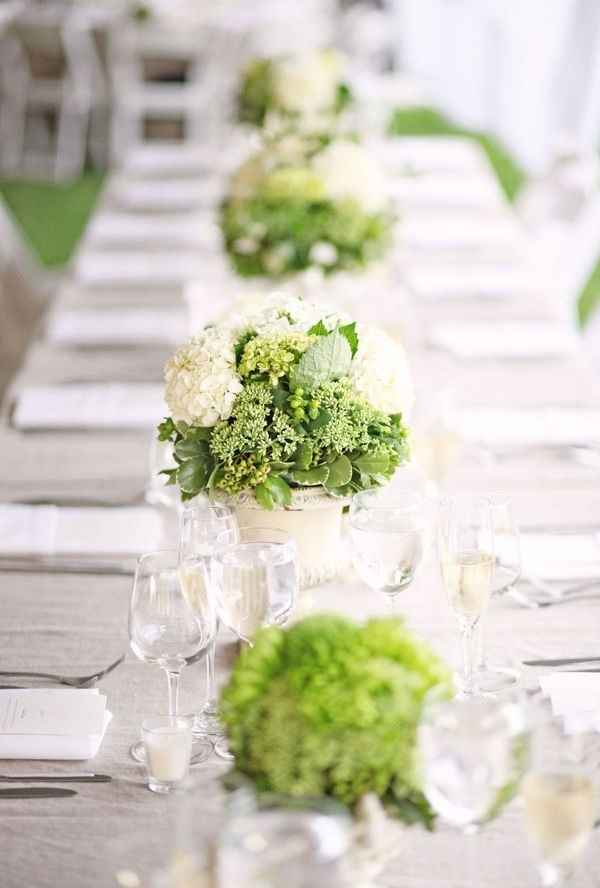 3.Novia Verde