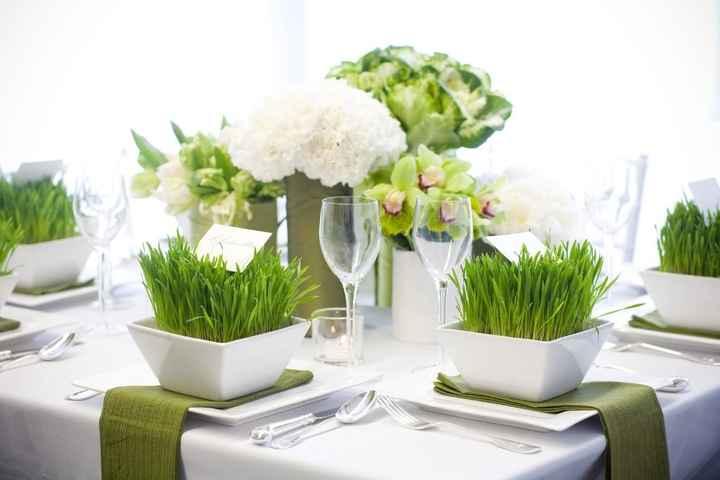 13.Novia Verde