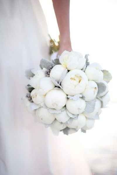 Novia gris