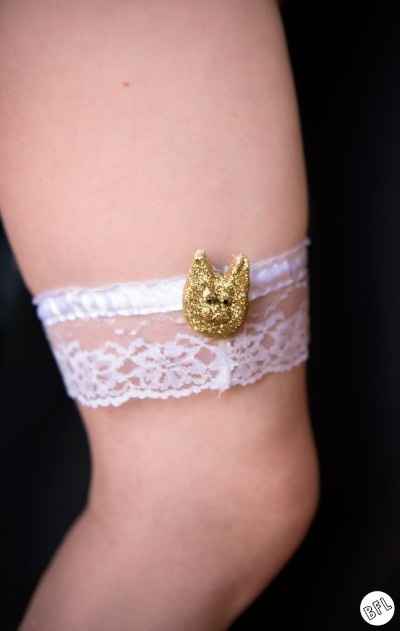 bodas con gatos