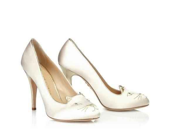 bodas con gatos