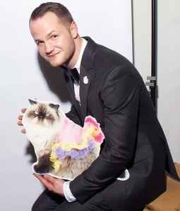 bodas con gatos