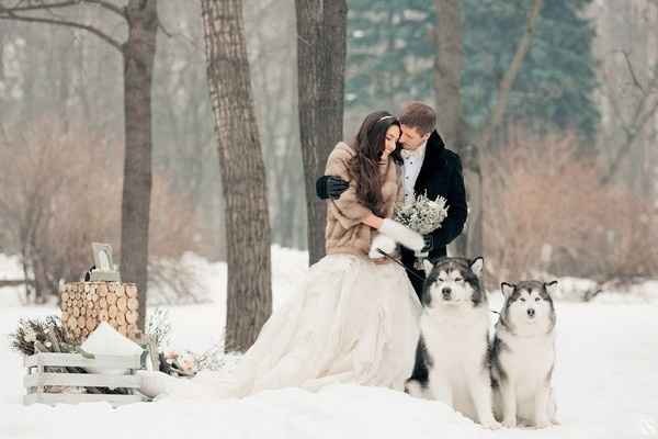 novios