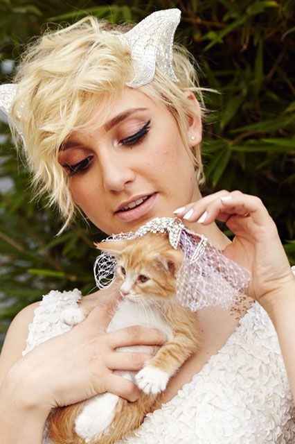 Boda de Gatos