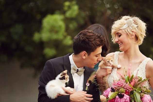 Boda de Gatos