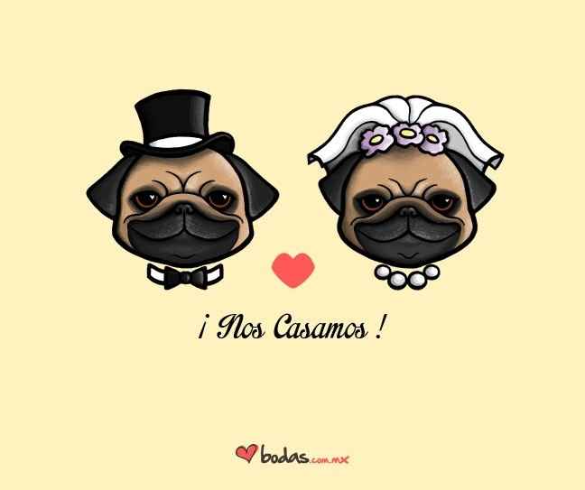 ¿Cómo se llama tu novio?