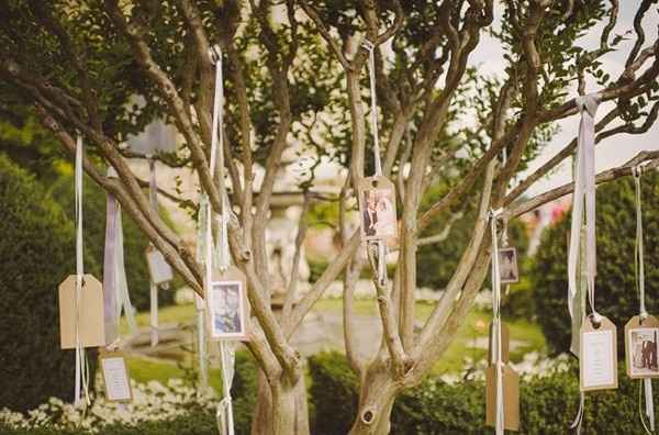 Decoración de árboles