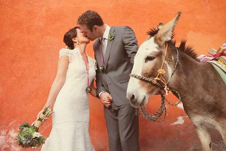 Burros de boda