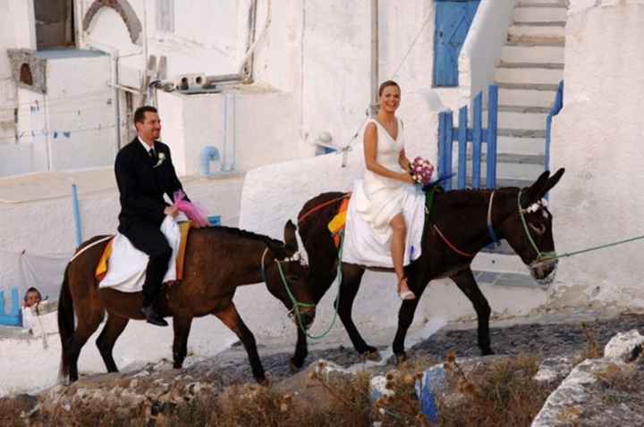 Burros de boda
