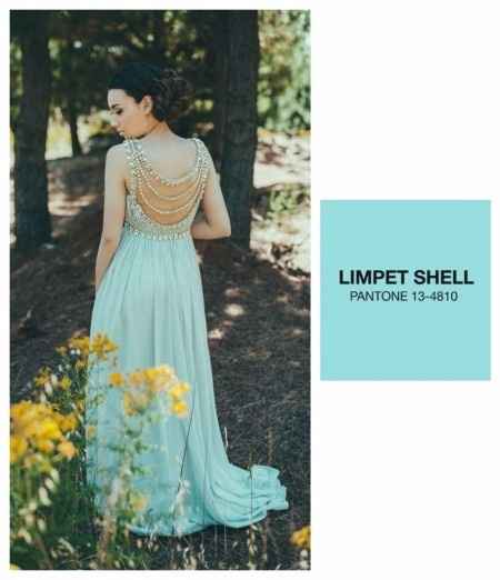 Limpet Shell