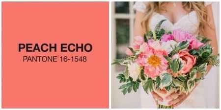 Peach Echo