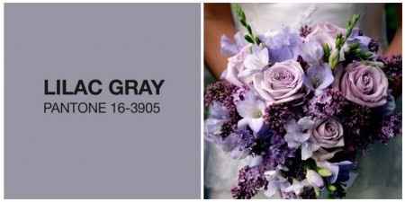 Lilac Gray