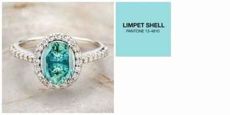 Limpet Shell
