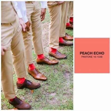 Peach Echo