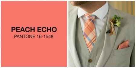 Peach Echo