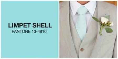 Limpet Shell