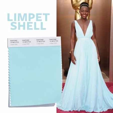 Limpet Shell