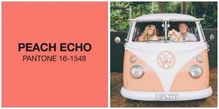 Peach Echo