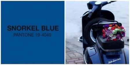 Snorkel Blue