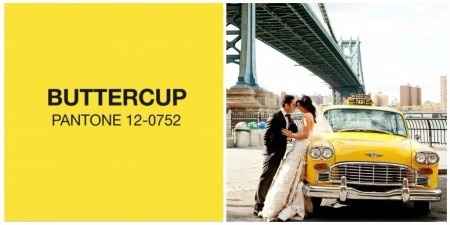 Buttercup