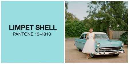Limpet Shell