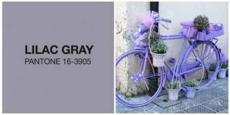 Lilac Gray