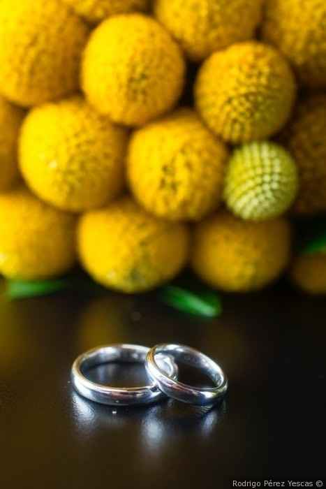 Gustavo y Erika: https://www.bodas.com.mx/historias-boda/gustavo-erika--rw3369