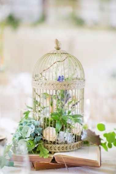 5 jaulas para tu boda ¿cual escoges?