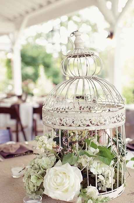 5 jaulas para tu boda ¿cual escoges?