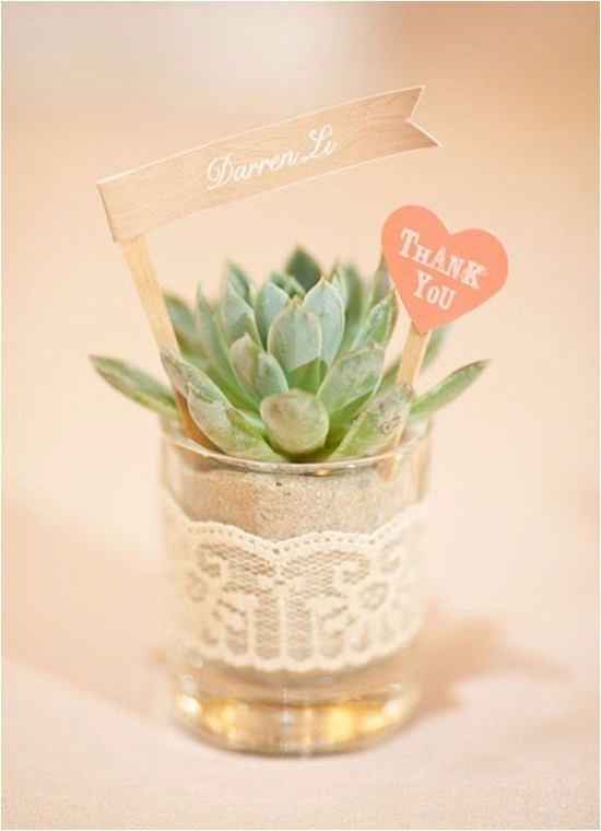 4. Una plantita linda