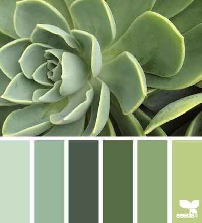 Color Fresco