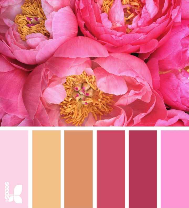 Color Cálido