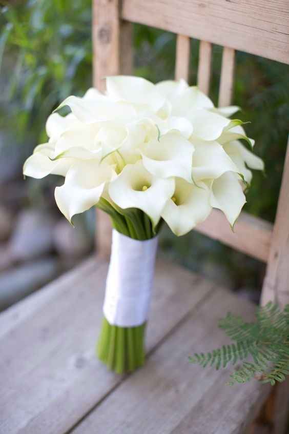 Total White