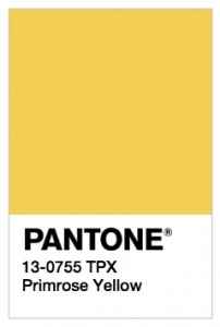 Primrose Yellow